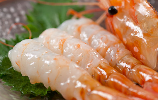 天然生ボタンエビ