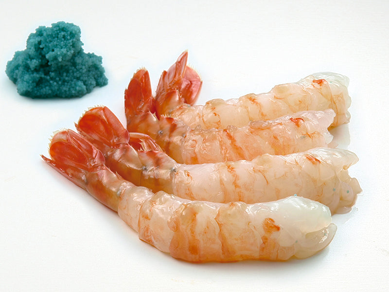 ボタンエビ(解凍品)