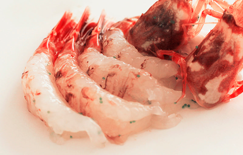 がすえび(2月20日~24日着)