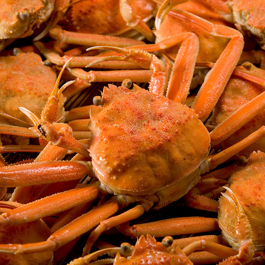 こうばこがに(12月1日~27日着)