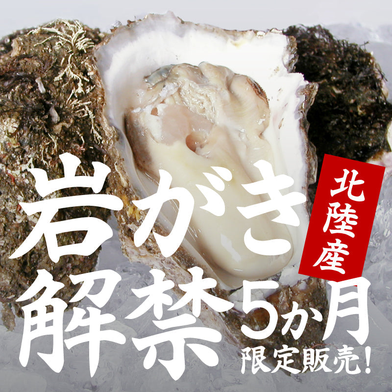 天然岩牡蠣