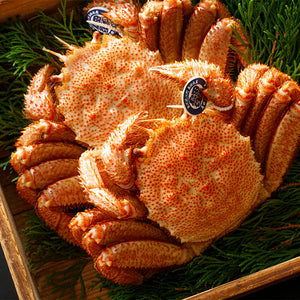 カニ 毛蟹 – 有限会社島田水産