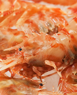 おにえび(2月21日〜3月1日着)